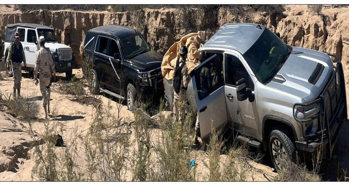 Sedena detiene a 21 personas en Sonora, tras operativo; decomisan carros y armamento