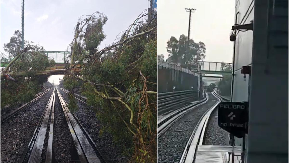 Árboles caen a vías y dejan sin servicio 6 estaciones de la Línea B del Metro CDMX