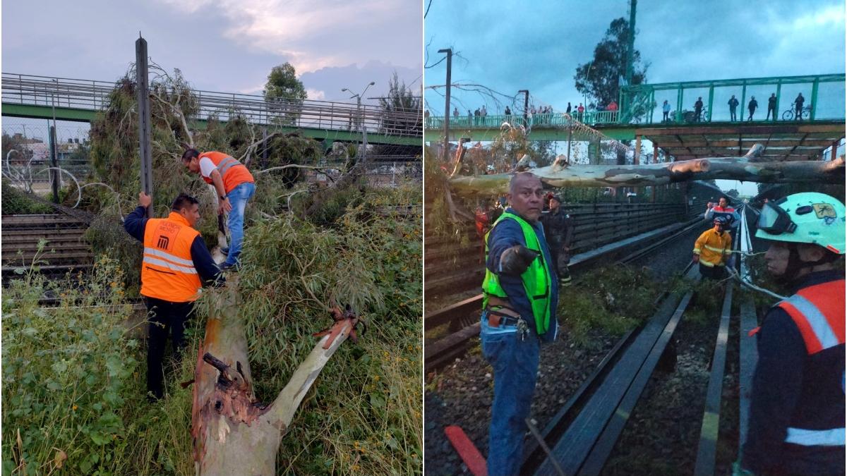 Restablecen servicio en la Línea B tras suspensión por caída de árboles en vías