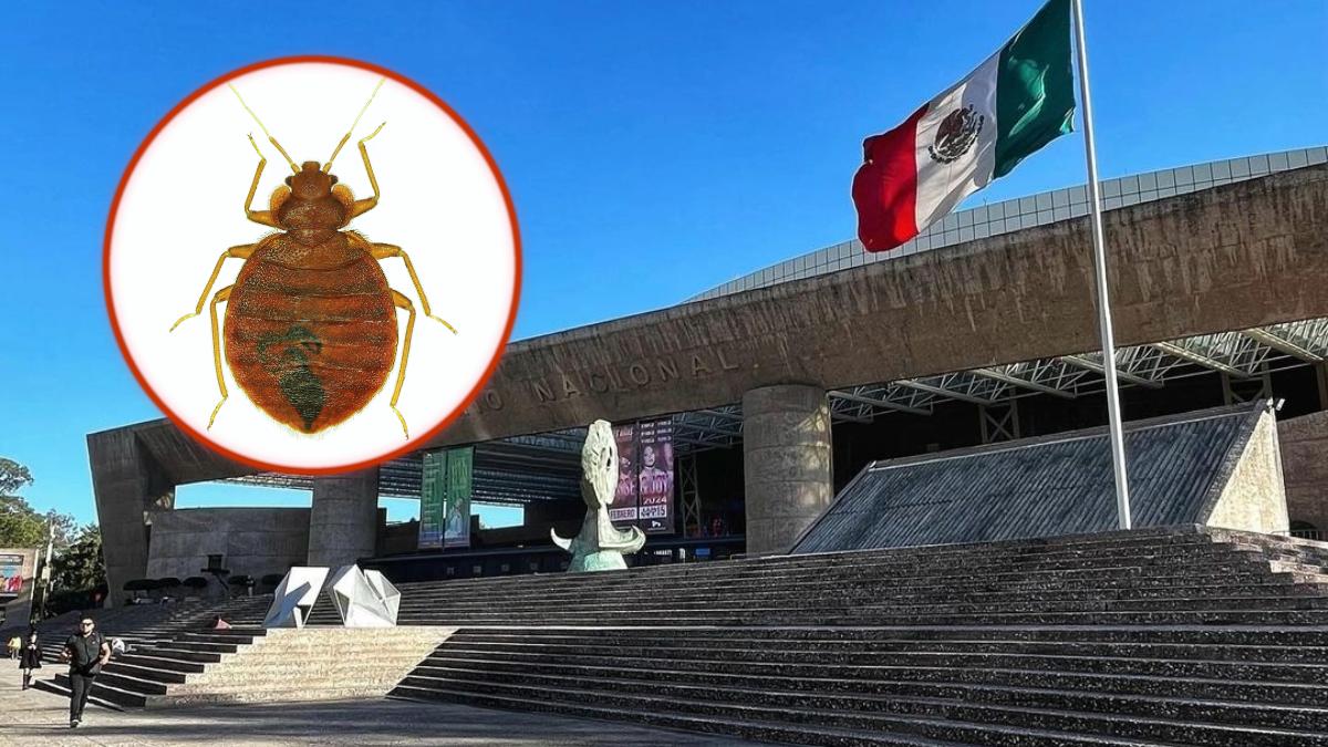 Reportan chinches en el Auditorio Nacional y usuarios estallan: 'Está infestado'| VIDEO