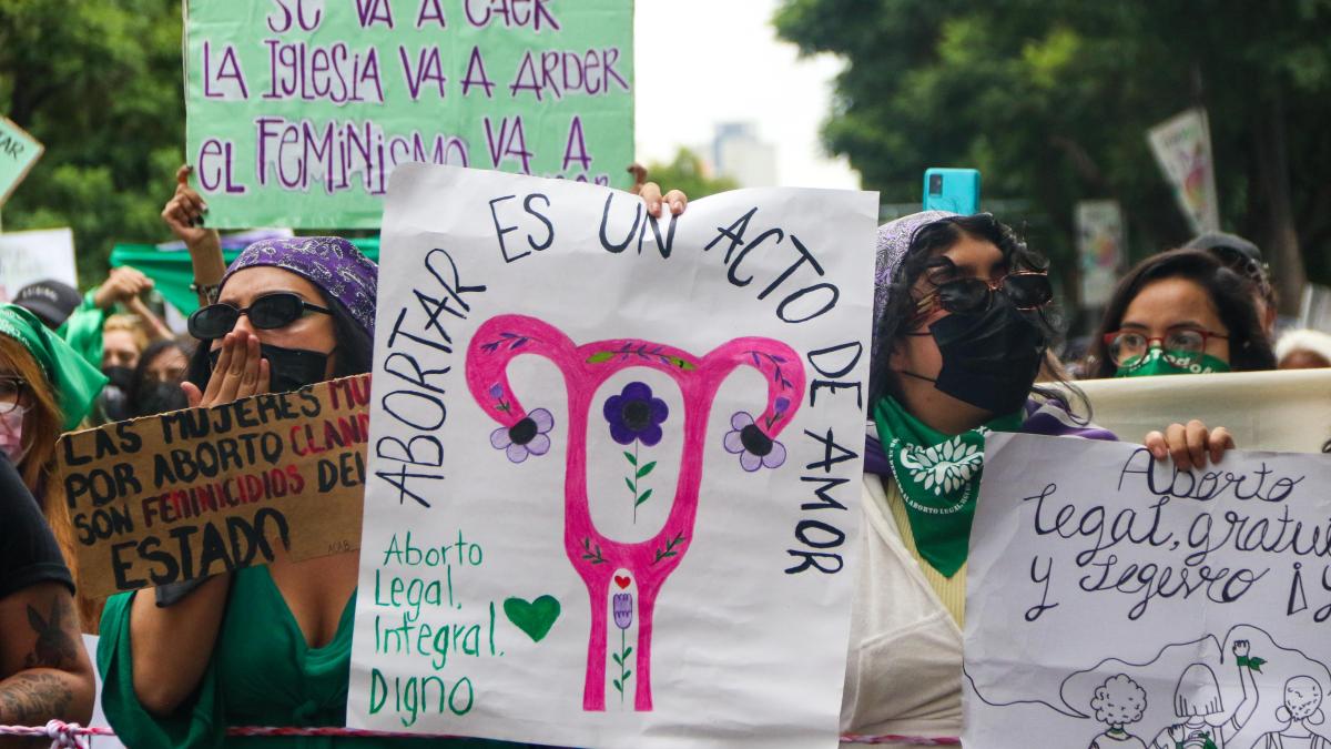 Busca diputada despenalización total del aborto