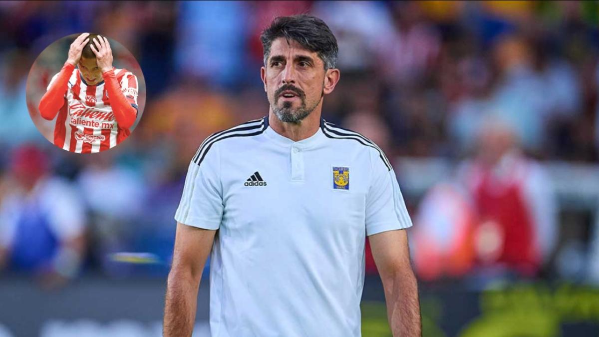 Chivas: Veljko Paunovic lanza dura crítica contra el 'Piojo' Alvarado por su agresión a periodistas