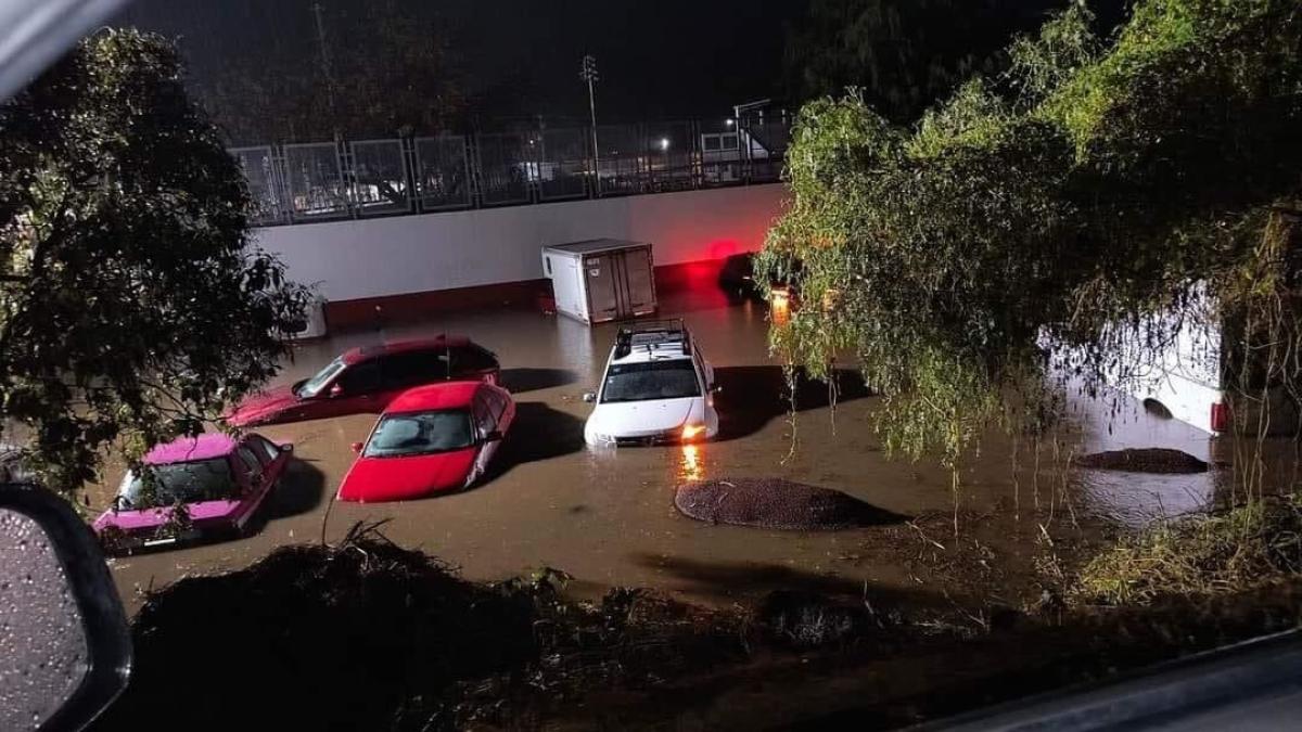 Piden apoyo para familias y mascotas por inundaciones en Xochimilco y Milpa Alta