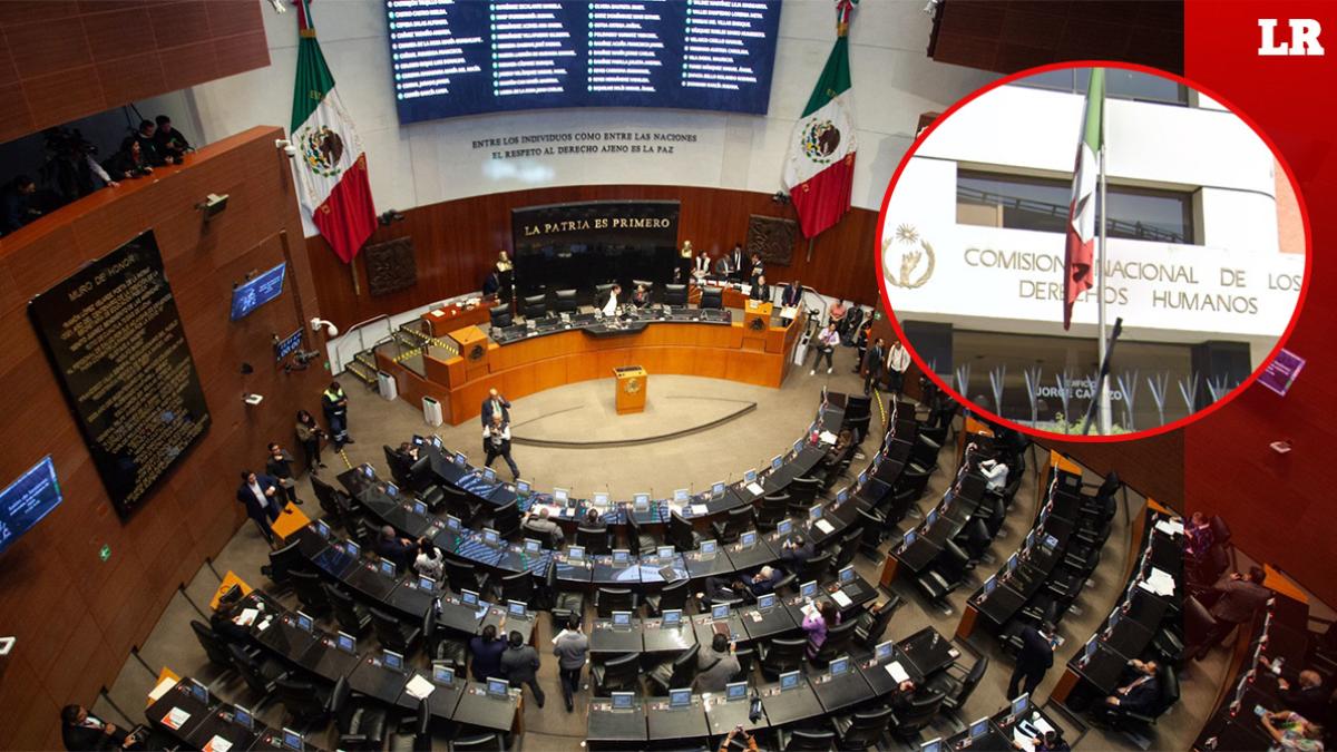 Avanza convocatoria para elegir a titular de CNDH; así será la elección en el Senado