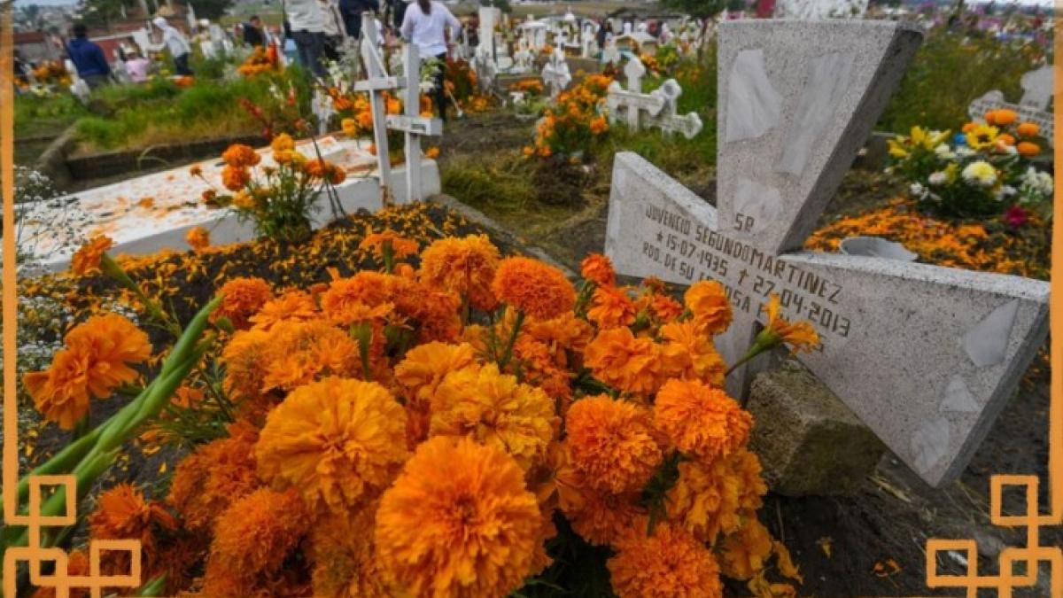 Día de Muertos: Esta es la trágica historia de amor detrás de la flor de cempasúchil