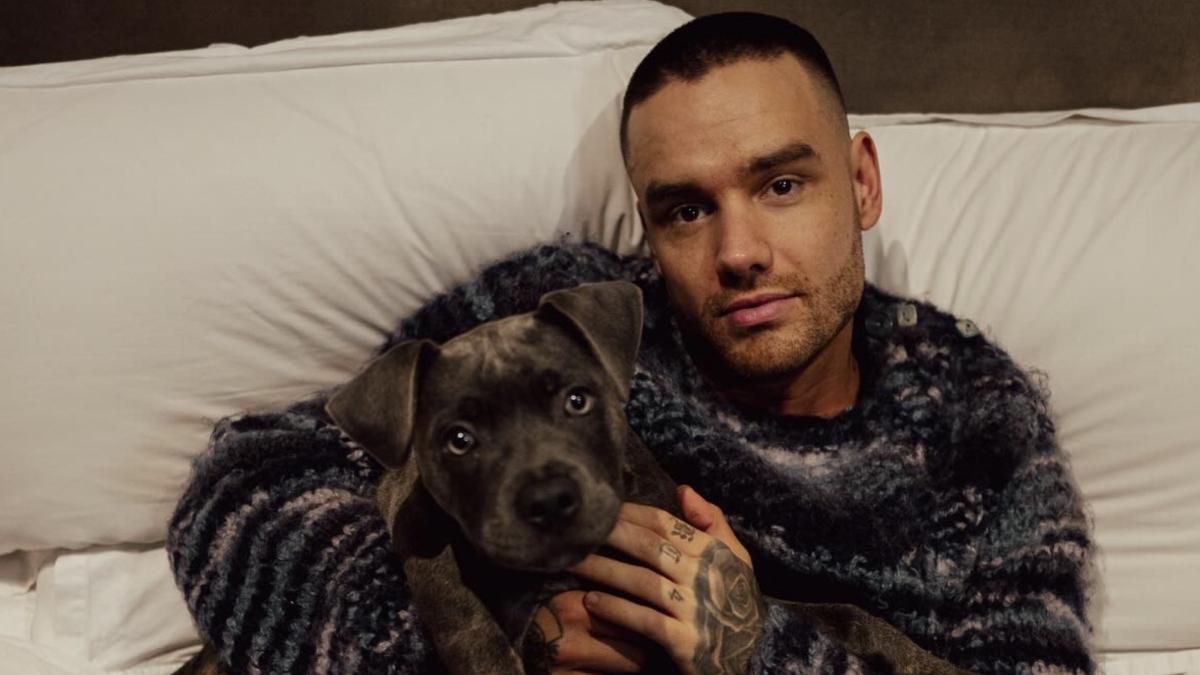 ¿Cómo murió Liam Payne de One Direction? Esta es la verdad