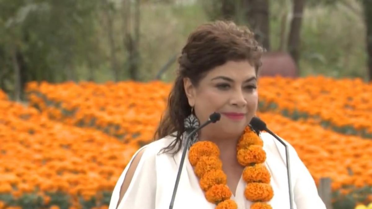 Clara Brugada inaugura temporada de venta de Cempasúchil en Xochimilco | VIDEO