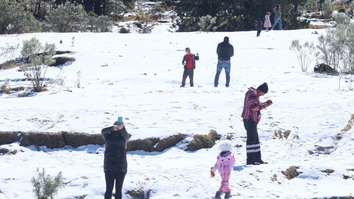 ¿Nieve para todo México? Esto sabemos de este curioso reporte