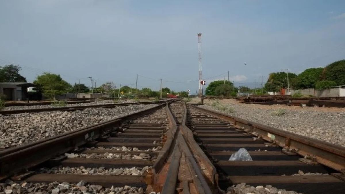 Senado declara constitucionalidad de reformas en transporte ferroviario, áreas y empresas estratégicas