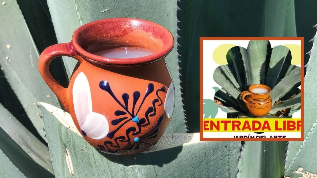 ¿Un pulquito? No te pierdas la Feria del Pulque en Xochimilco | FECHA y UBICACIÓN