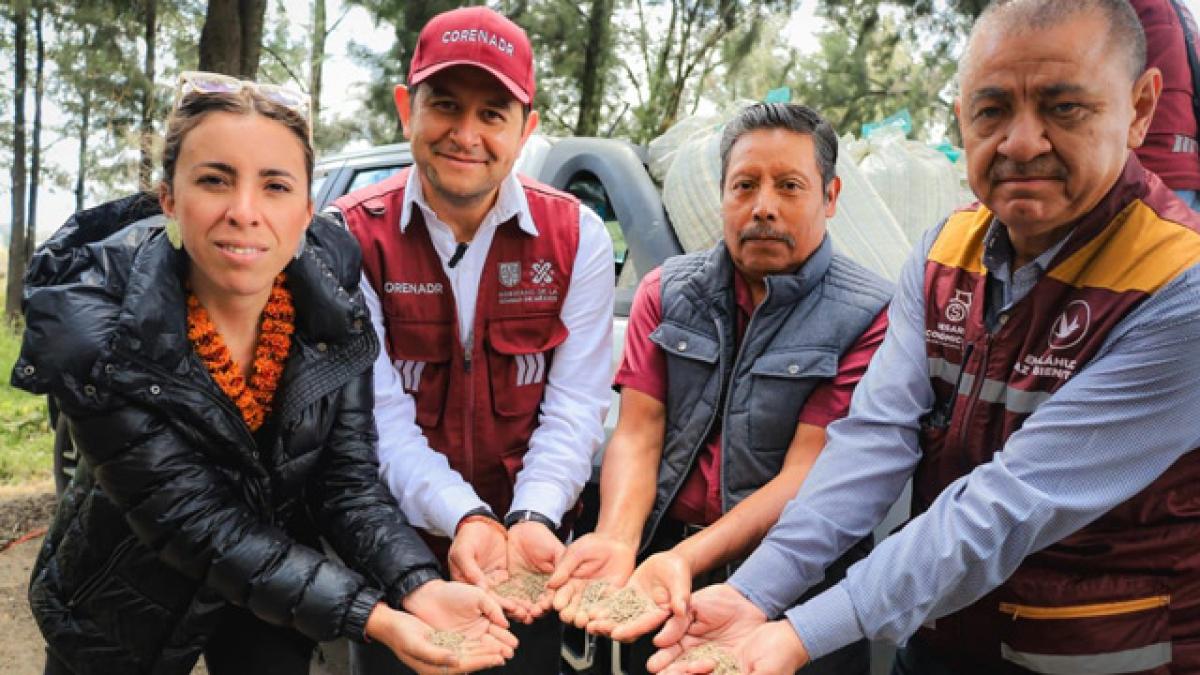 Donan 193 costales de semillas de romeritos a productores de Mixquic afectados por lluvias