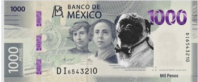 Llegaron Los MEMES Del Nuevo Billete De Pesos FOTOS