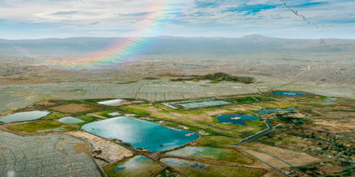 Lago De Texcoco 4 Especies Endémicas Por Preservar 3064